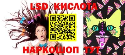 мяу мяу мука Камышлов