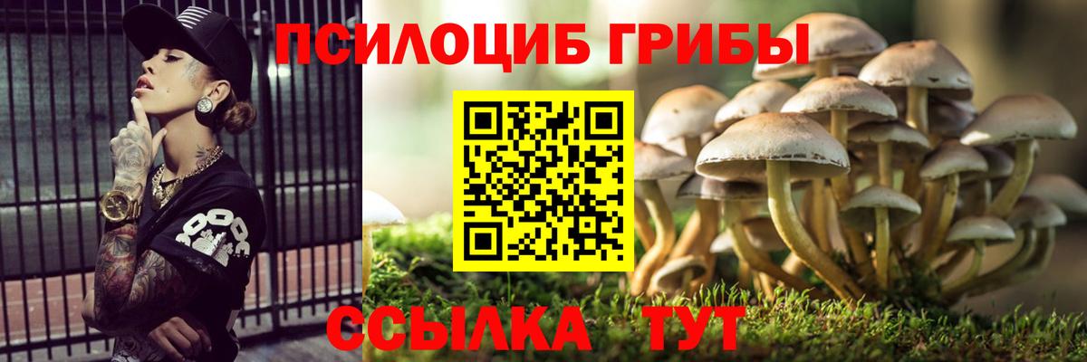 Псилоцибиновые грибы Magic Shrooms Ярцево